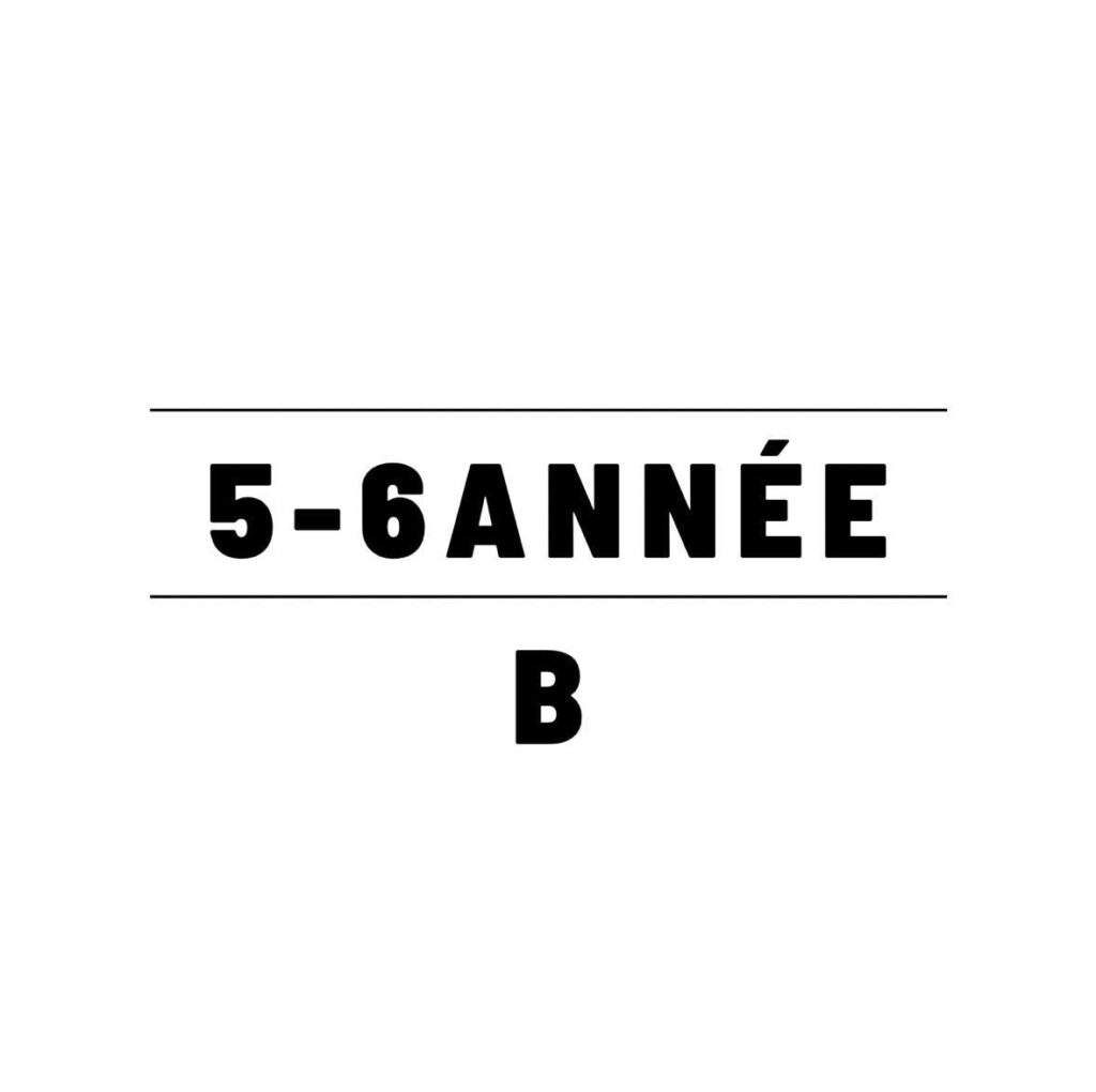 H26 | 5-6e année B